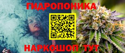 apvp Ярославль