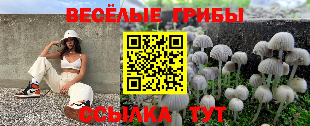 Галлюциногенные грибы мухоморы Троицк